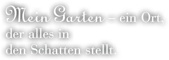 mein-garten-galabau-mauern-einfassungen