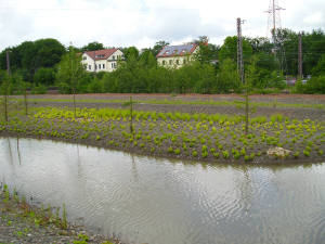 Wassergarten Reden